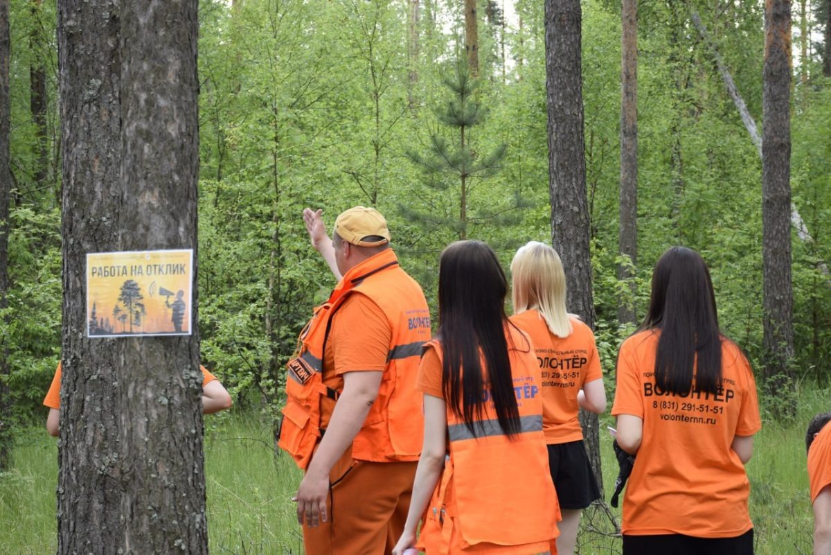    130 волонтеров-поисковиков приняли участие в региональном слете в Балахнинском округе