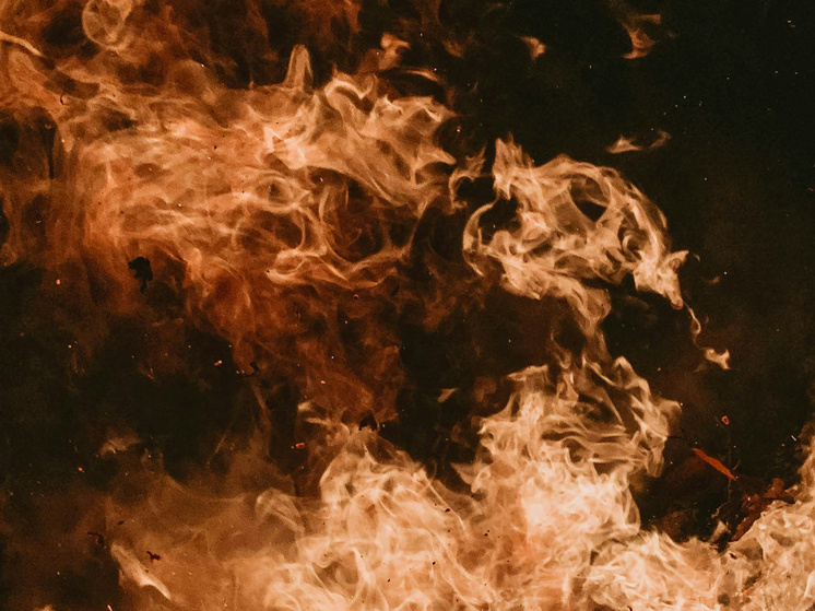 ФОТО: UNSPLASH.COM
