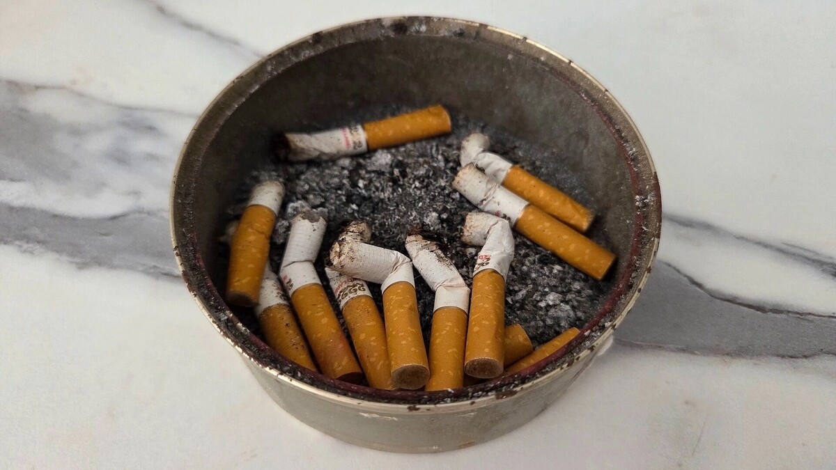     Автор: KubanPress