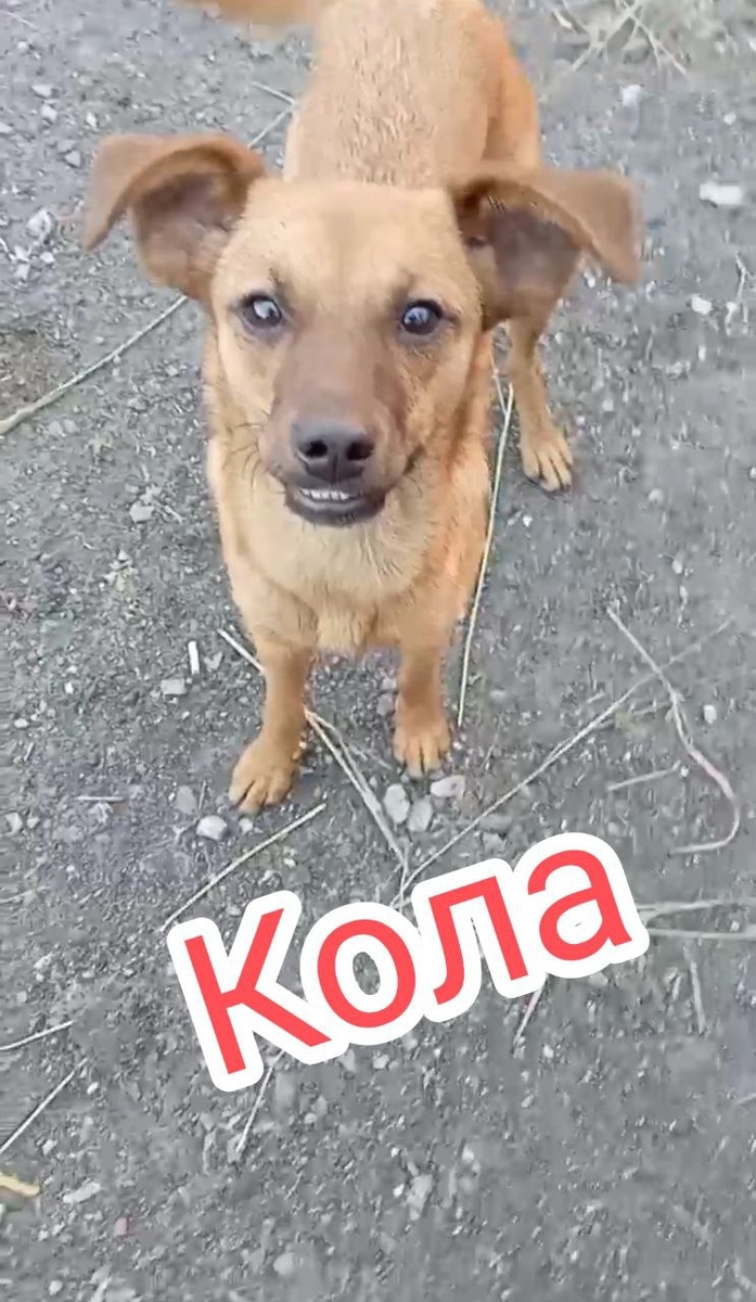 Мама ты где? 