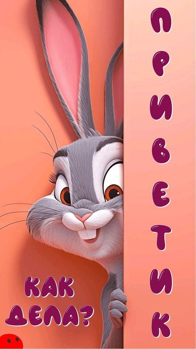 Фото из интернета.