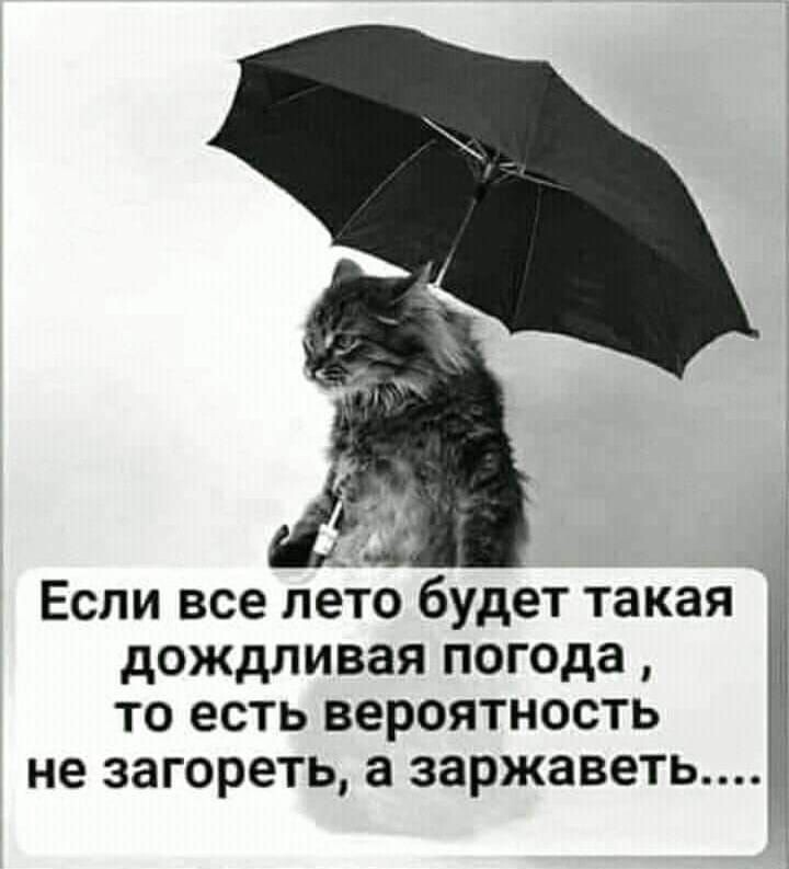 Фото из интернета.