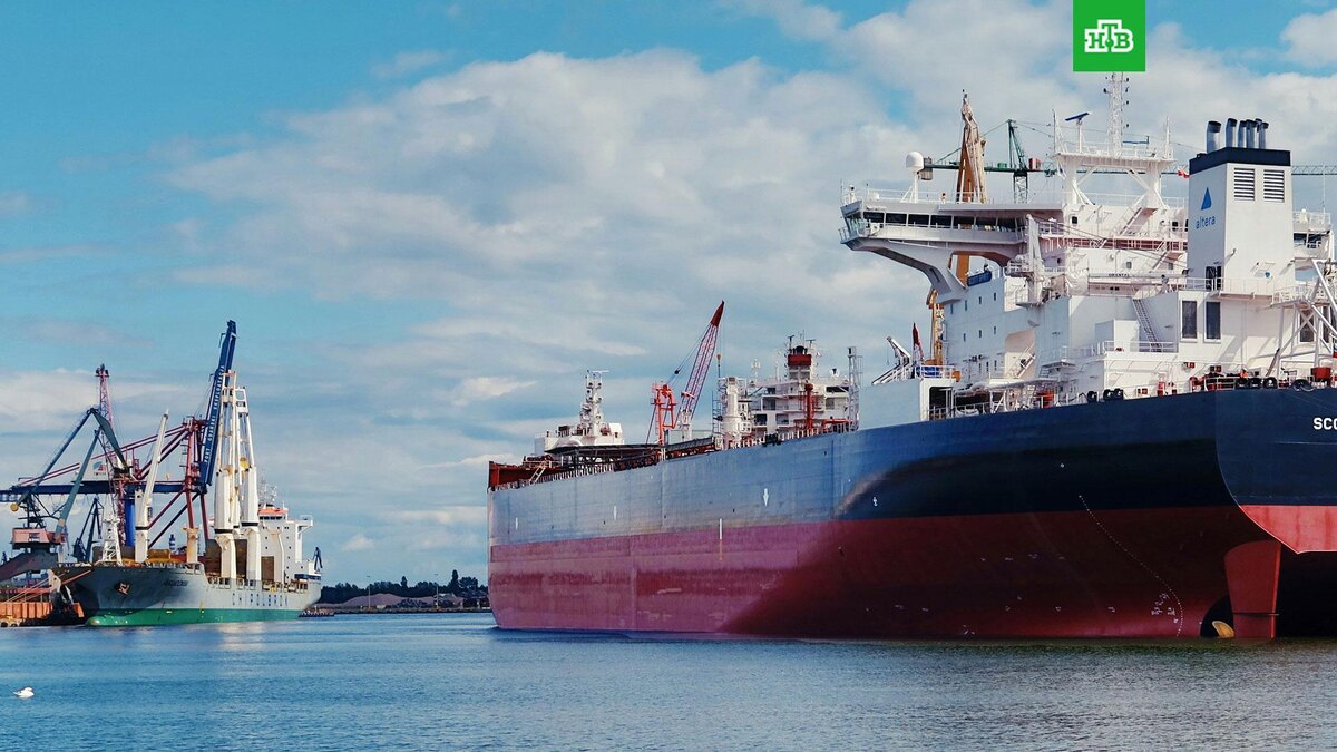    Фото: Mateusz Suski / unsplash.com