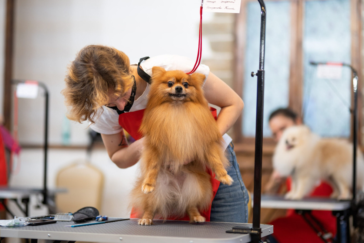 Фото: Александр Плонский / ВиЖ 