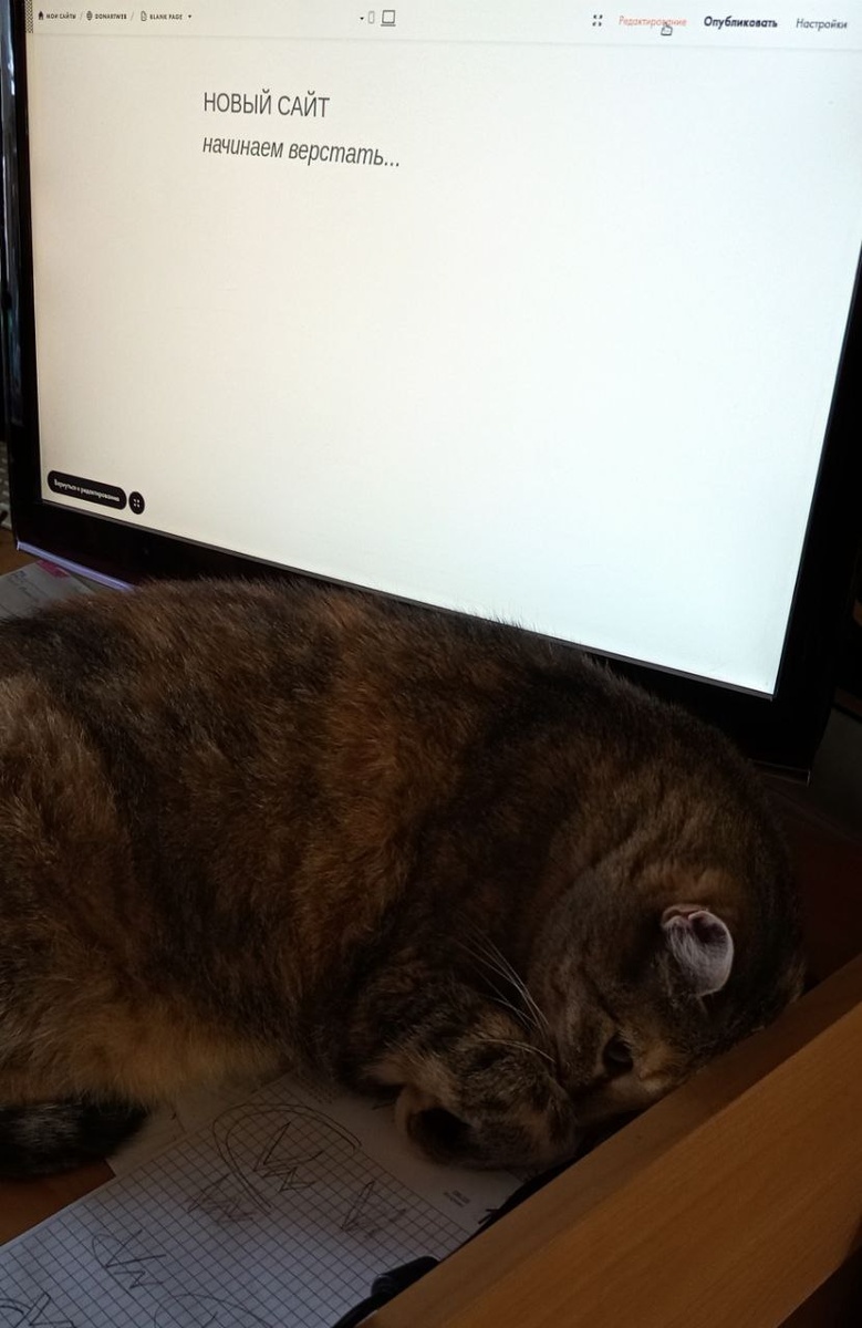 Совсем скоро на экране появится красота