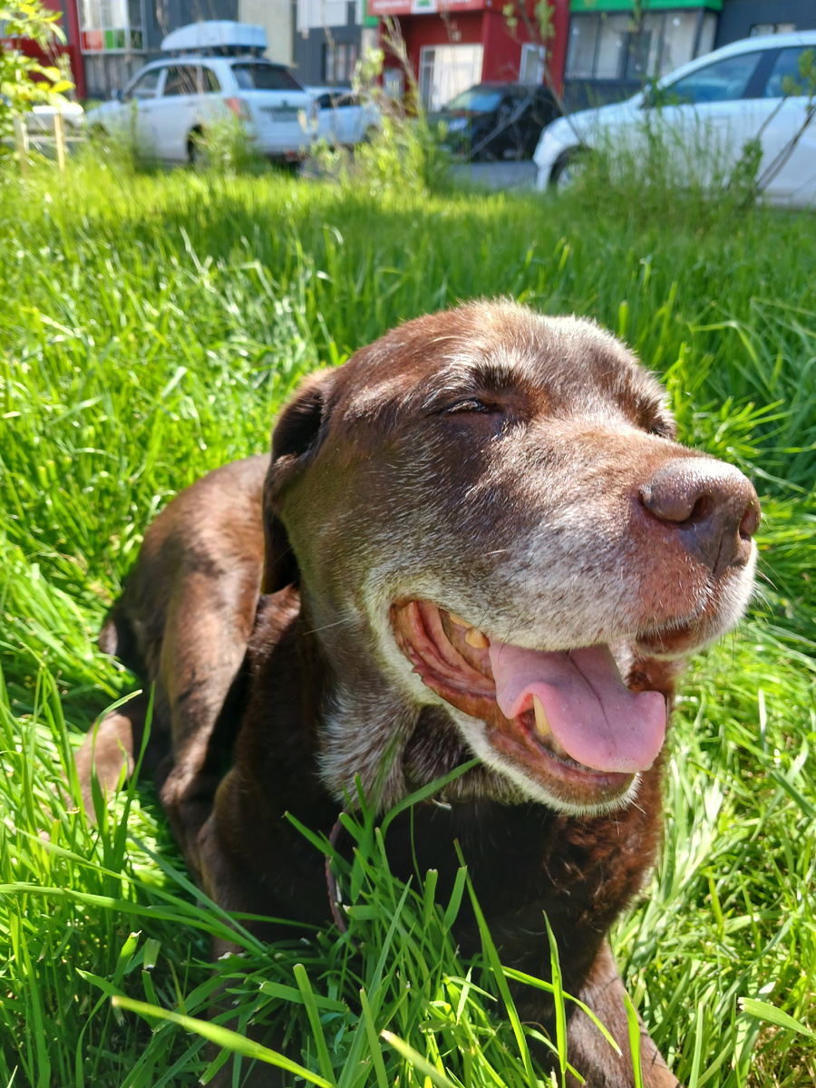 Целую крепко, ваша репка!