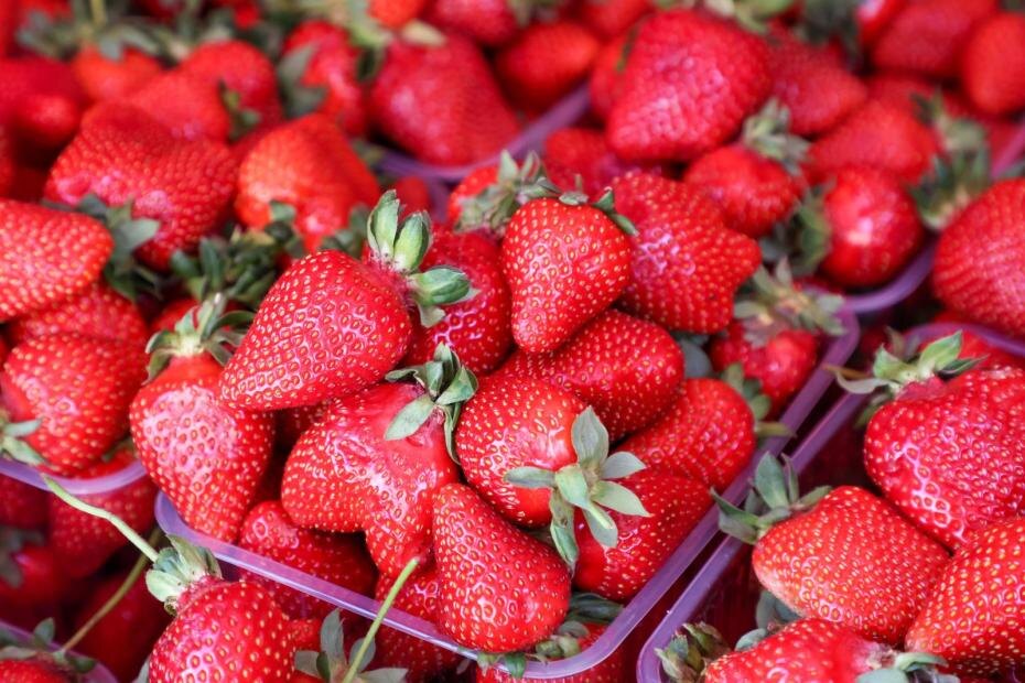    Алексей Белкин/NEWS.ru