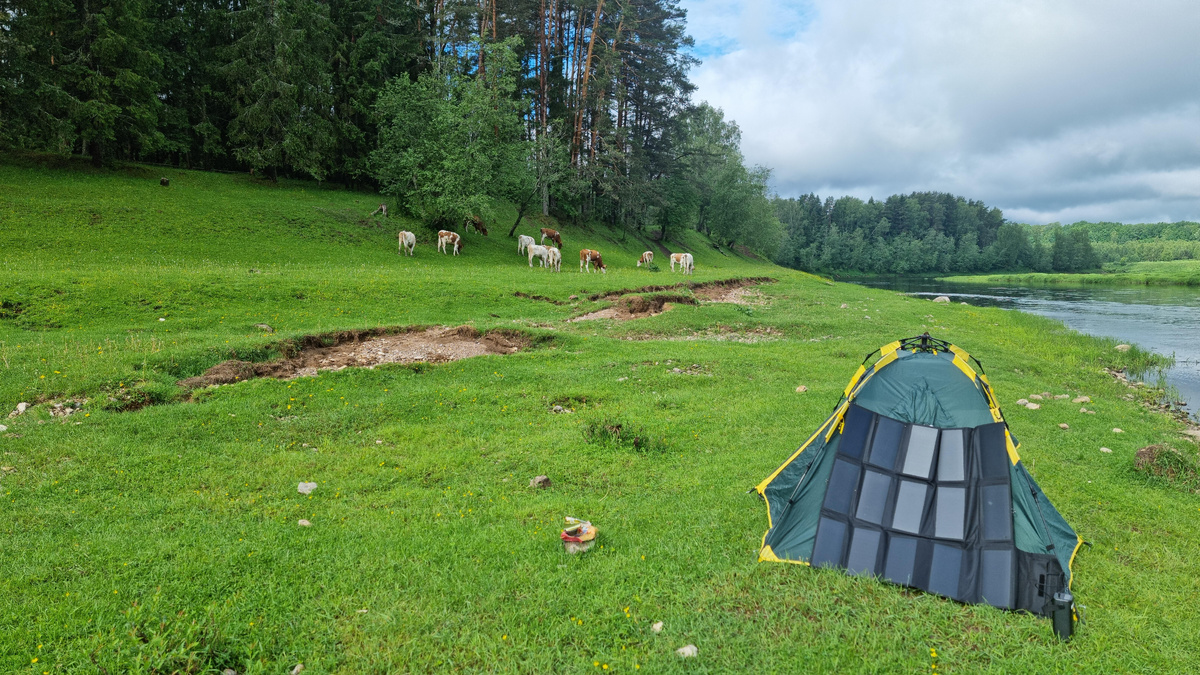 Первая волна "десантников".