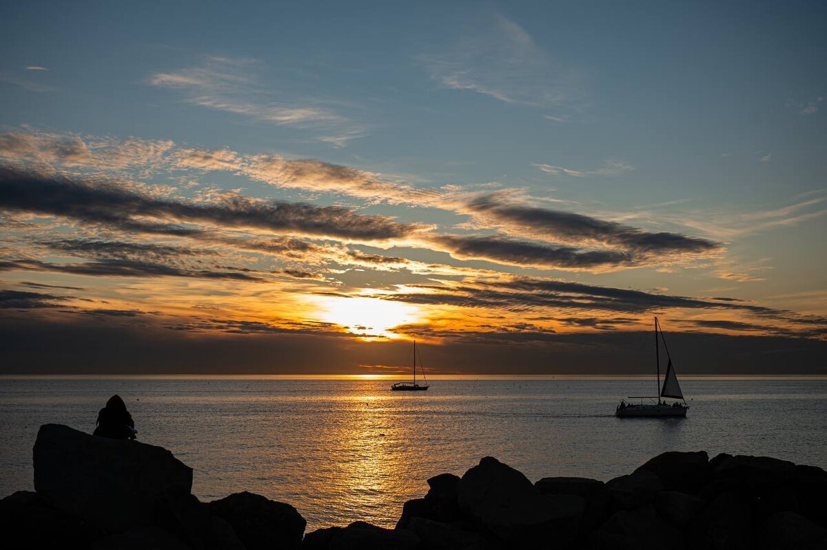 Фото: тг-канал «Сириус Сегодня»  📷
