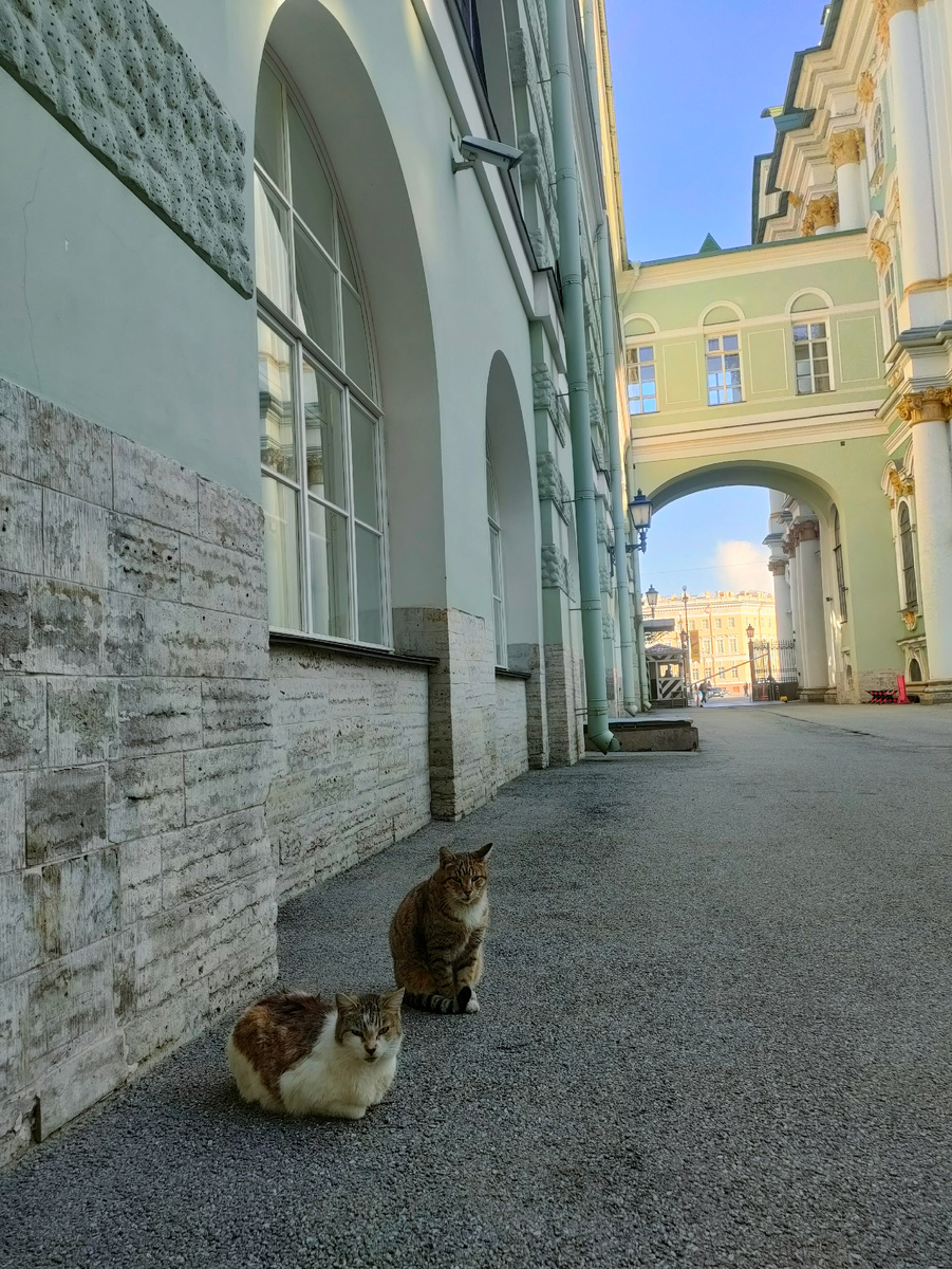 Шуваловский проезд. Источник: Архив автора 