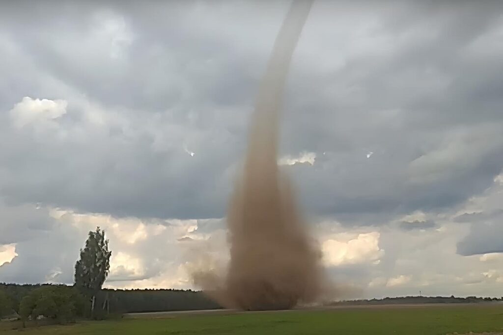    Фото: скриншот