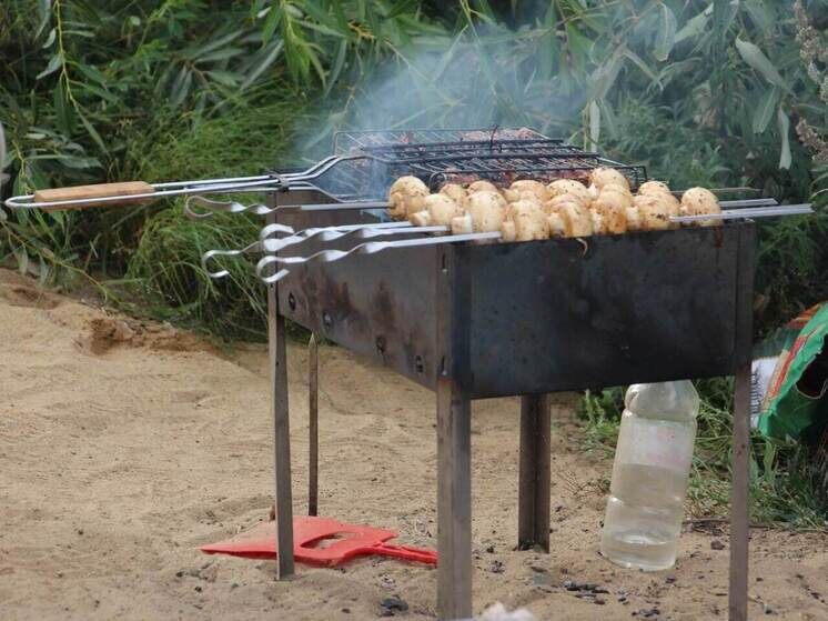     Северян предупредили о повышенном риске заражения кишечными инфекциями в летний период. фото: архив мк в мурманске.