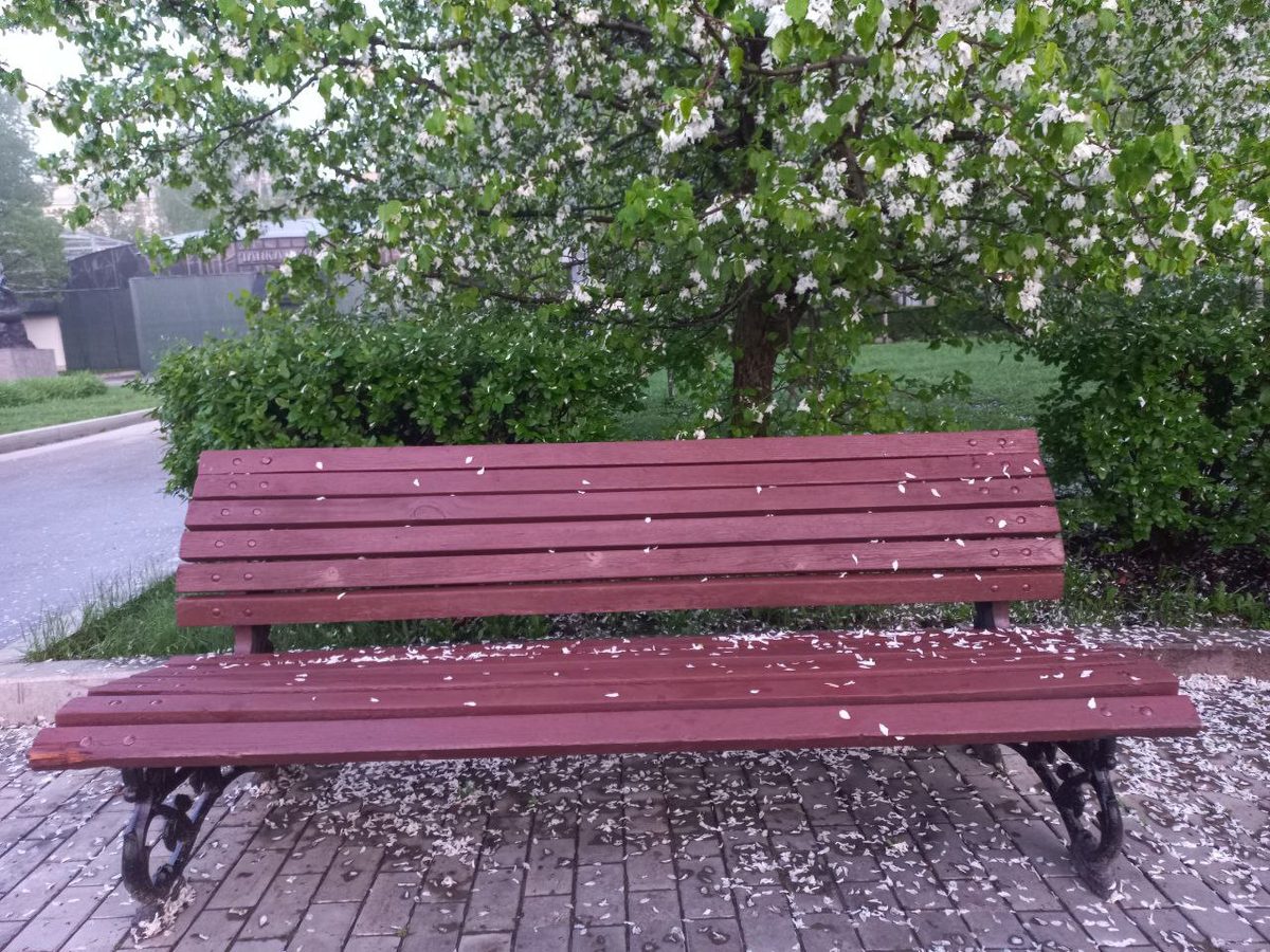 Фото автора.