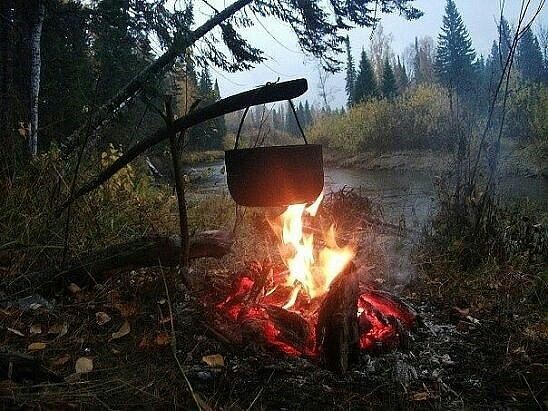 фото из интернета