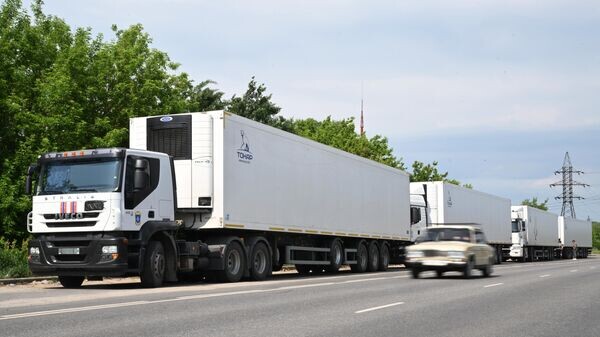    © Sputnik / Кирилл Зыков