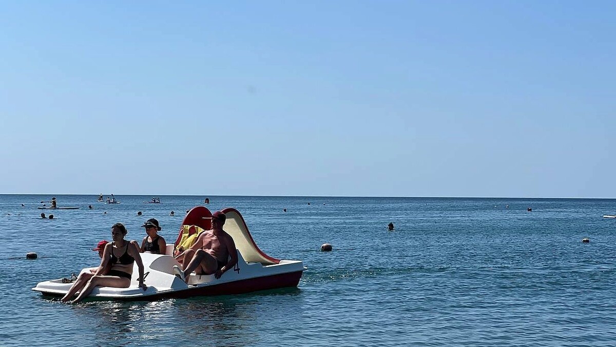    Фото: телеканал «Краснодар»