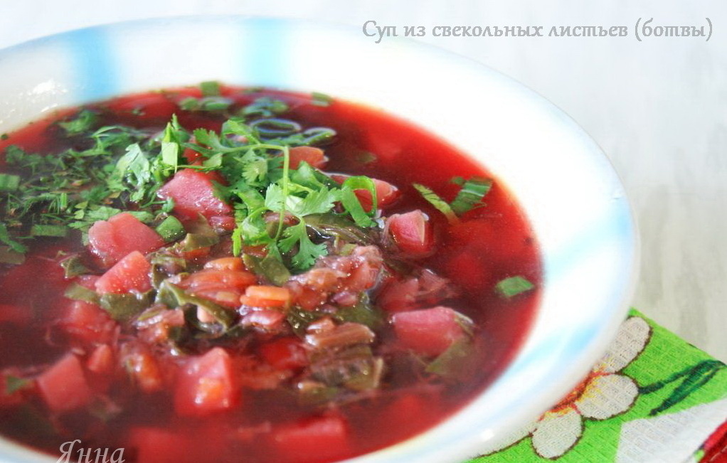 Фото автора. Суп из свёкольных листьев(ботвы)