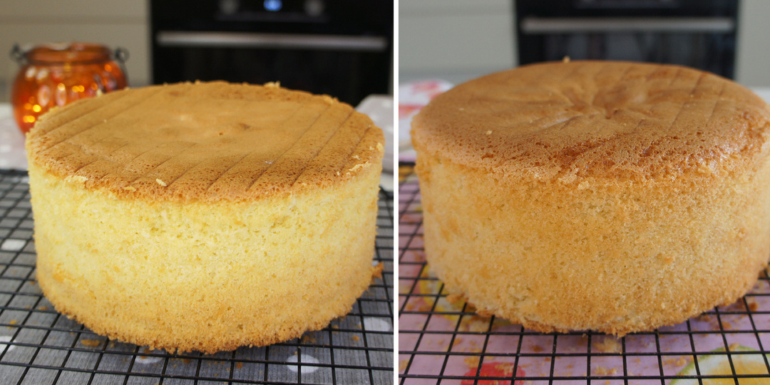 Классический бисквит и бисквит с крахмалом и мукой: в чем разница и какой лучше?