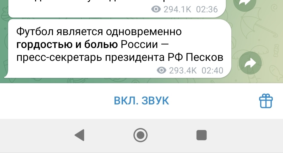 Песков сказал, не я придумала