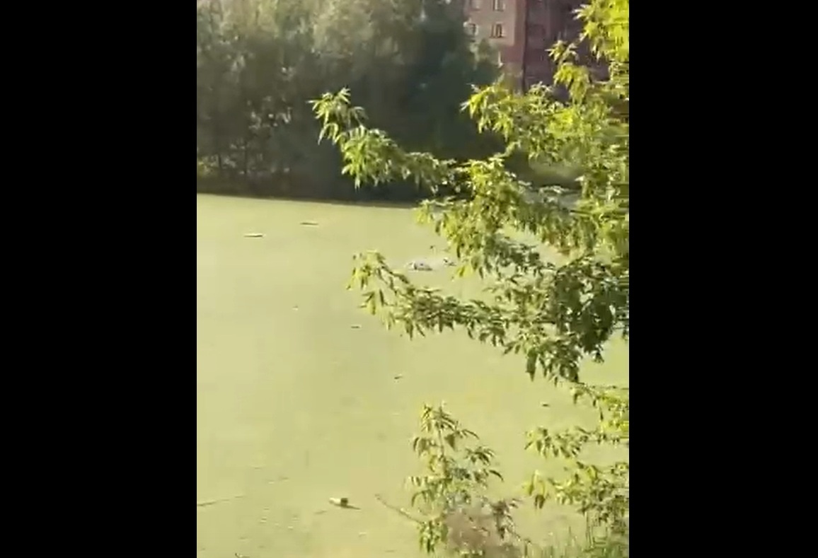    Фото: соцсети