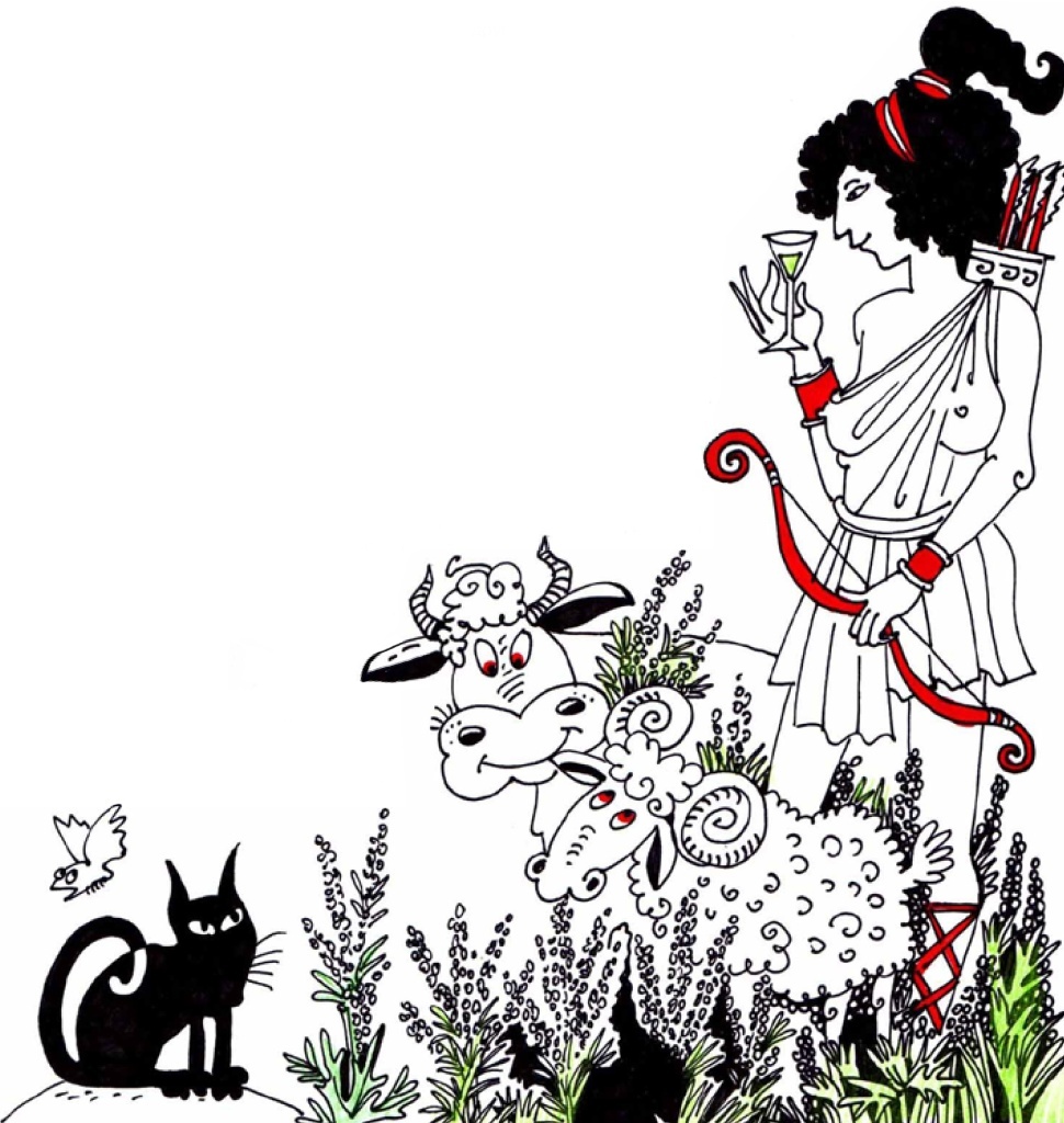 Иллюстрации Натальи Колпаковой