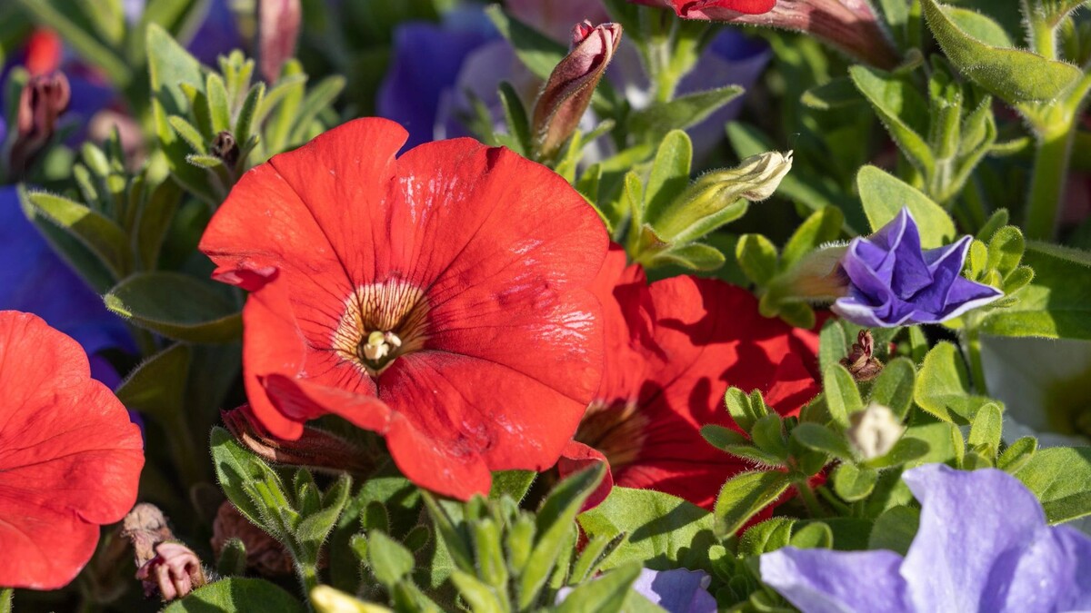    Фото: Федор Воронов / «Ямал-Медиа»