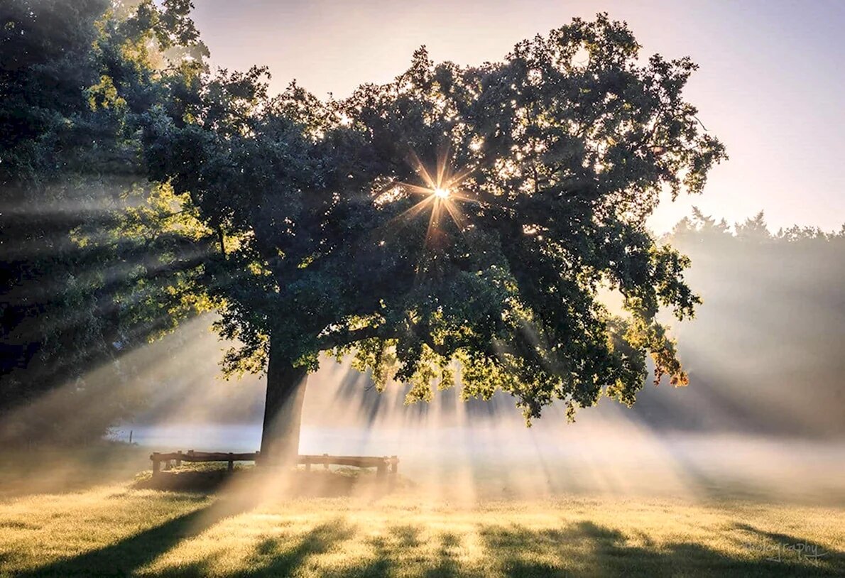 Практическое использование шнуров воли энергетического поля человека