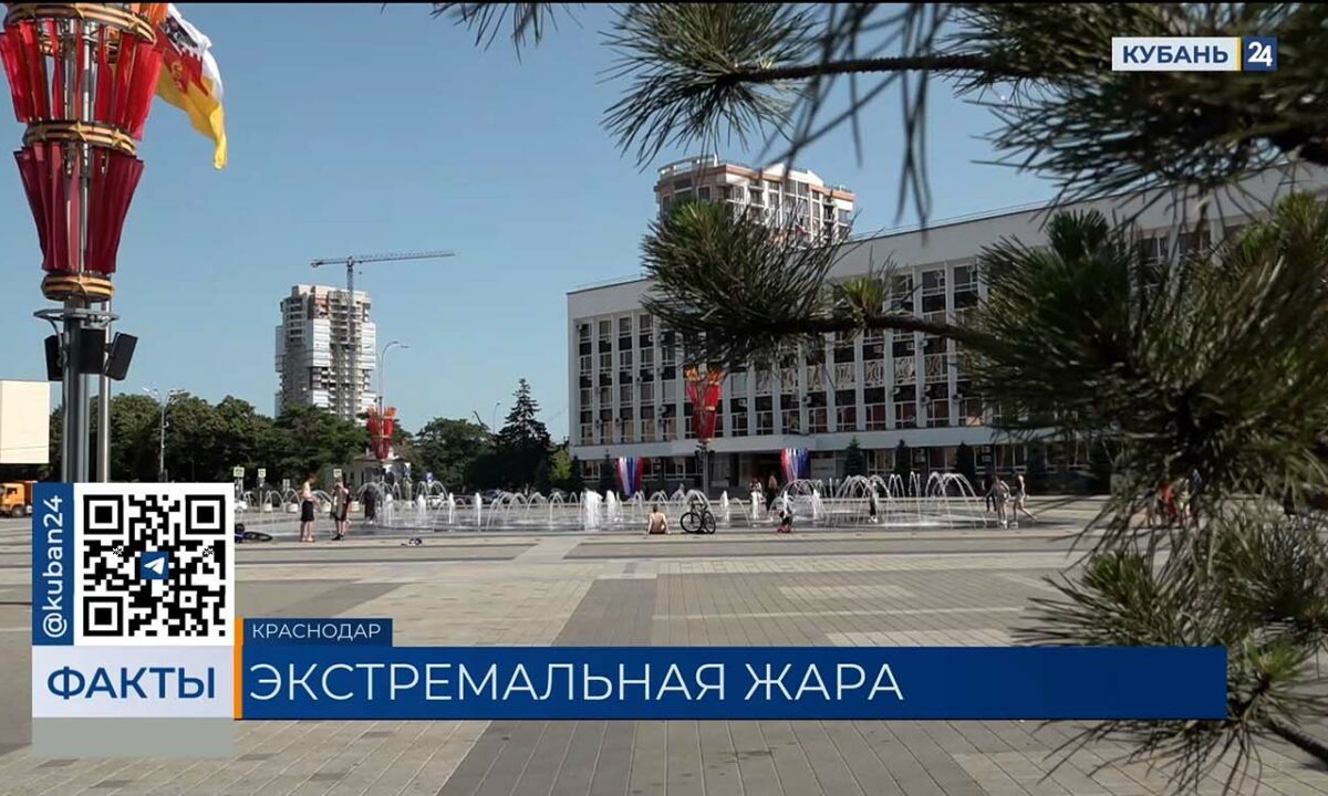    Видео канала «Кубань 24»