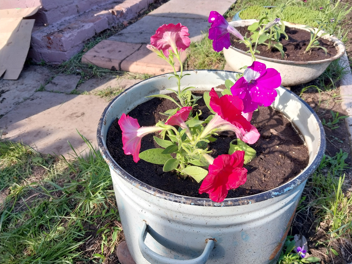 Комуто жилище из кастрюли...