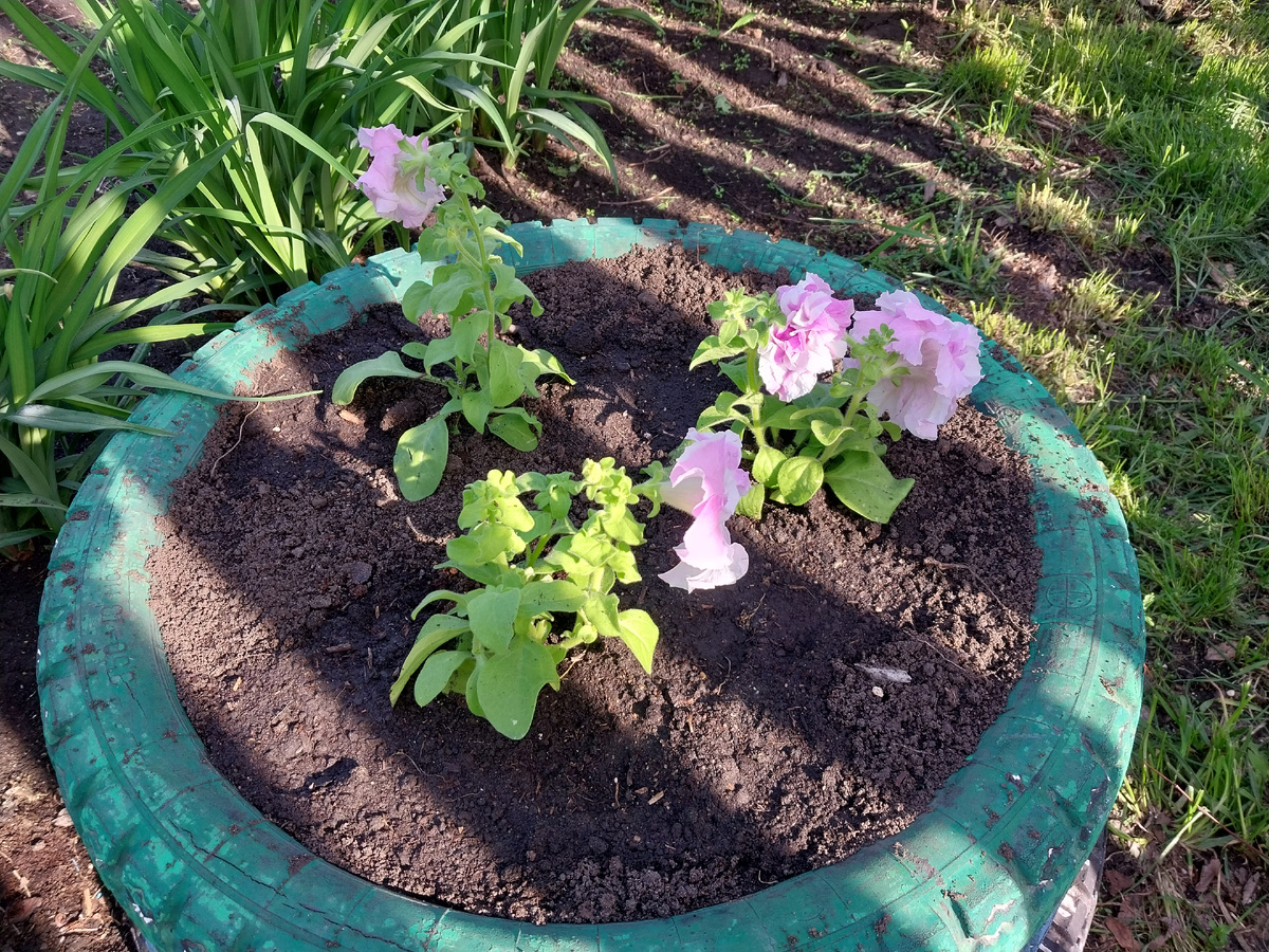 А кому то - колесо.