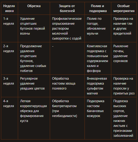 Уход за розами в июне