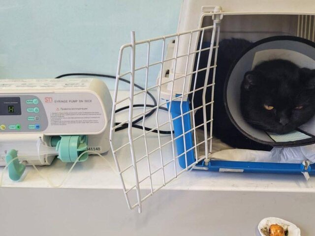    Фото: msh.mosreg.ru