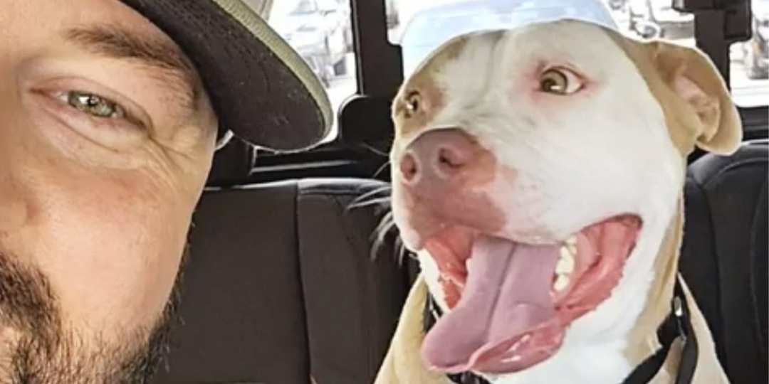 Мужчина проехал более 1000 км, чтобы забрать собаку из приюта