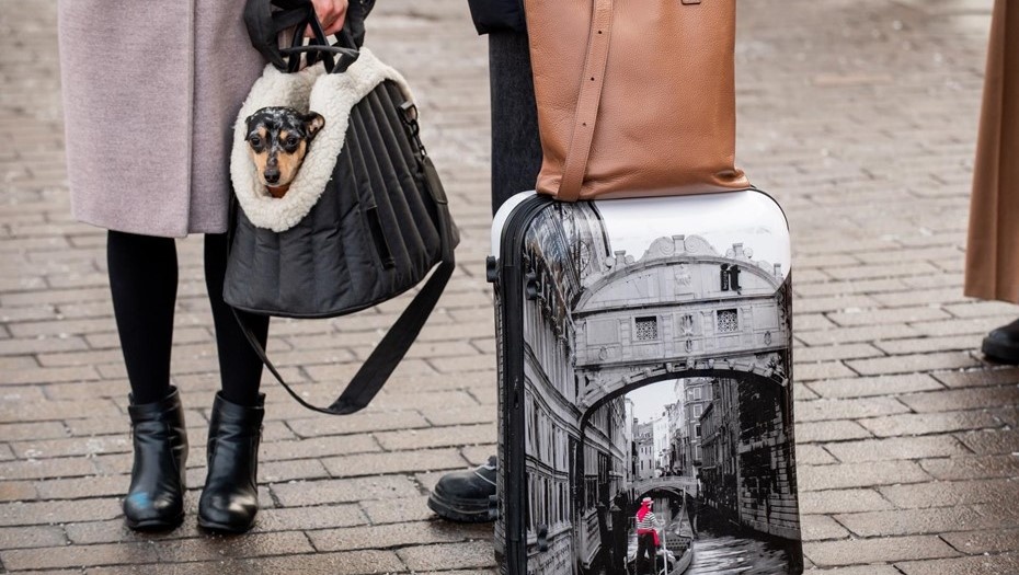    Автор фото: Ермохин Сергей