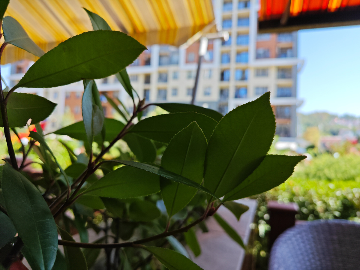 п. Дагомыс ЖК «Каравелла Португалии»