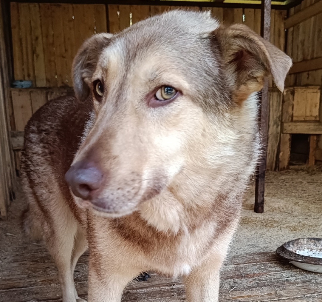 Гулять пойдем? 