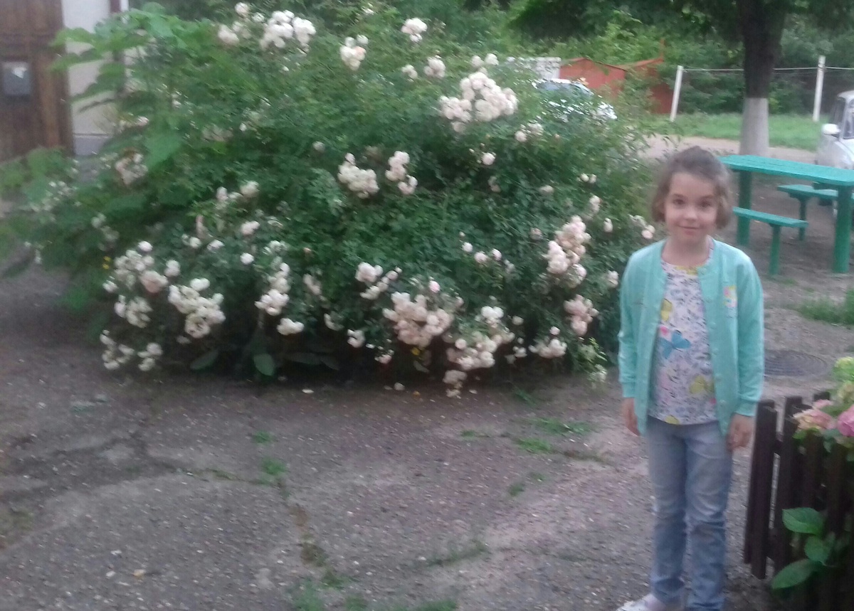 Млава во дворе