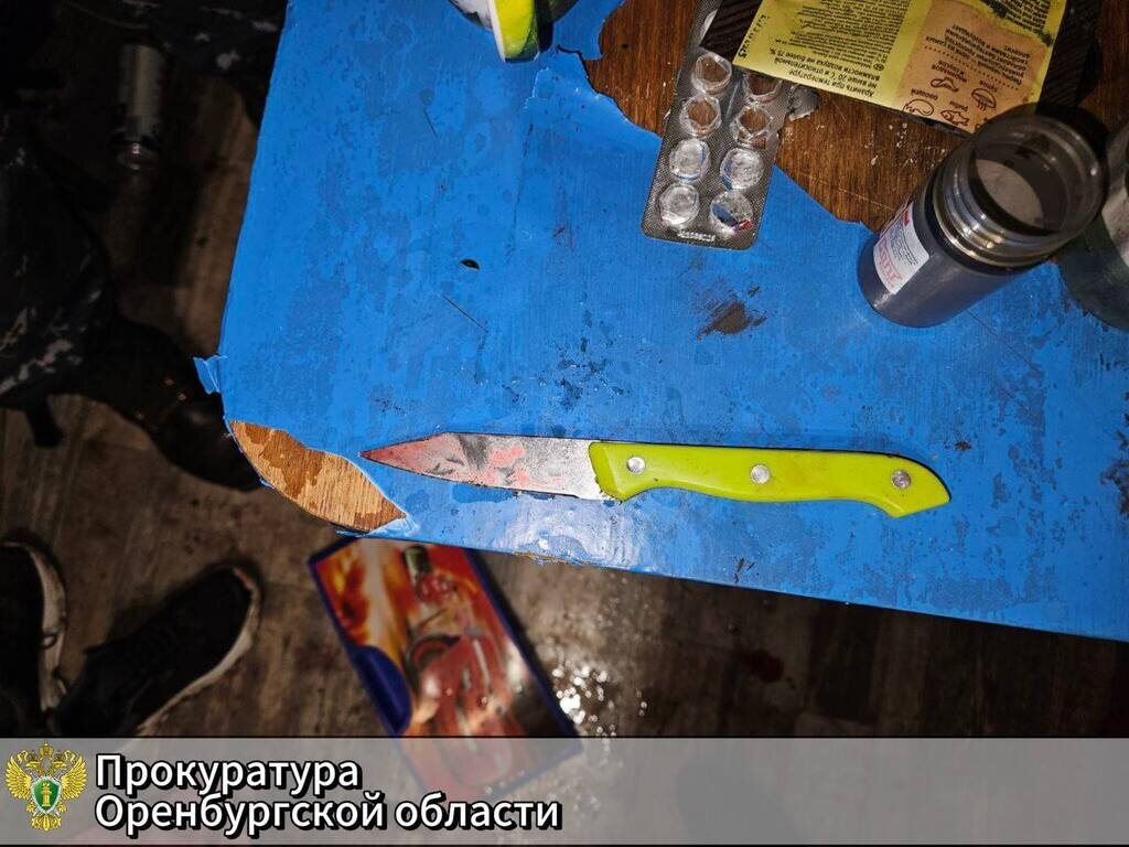    Бытовой конфликт в Приречном завершился ударом ножа в лицо и шею — один человек погиб, второй отправлен в колонию