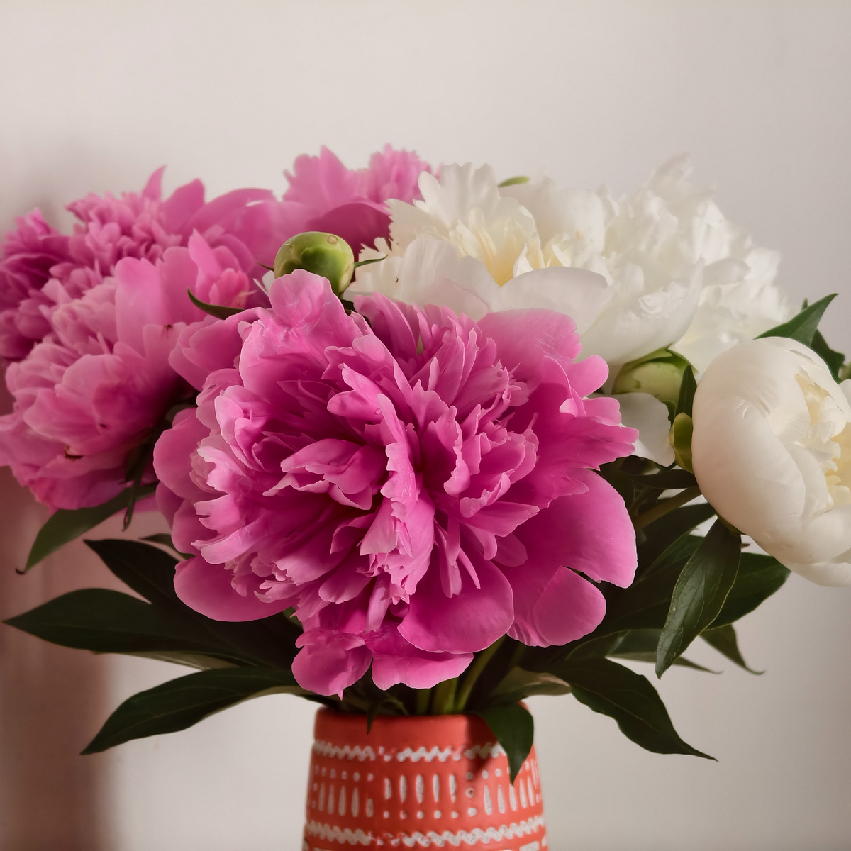 Новые пионы