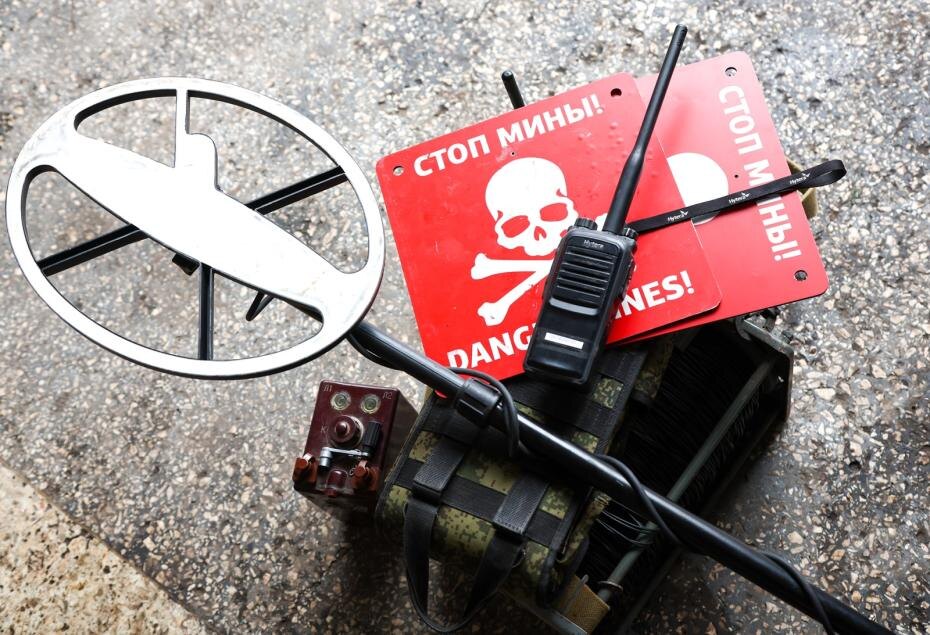    Наталья Шатохина/NEWS.ru