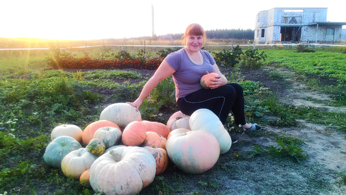 "Богатый урожай" 2017 года