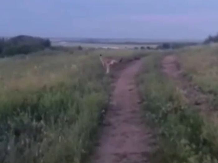 Источник фото: Соцсети/скриншот с видео
