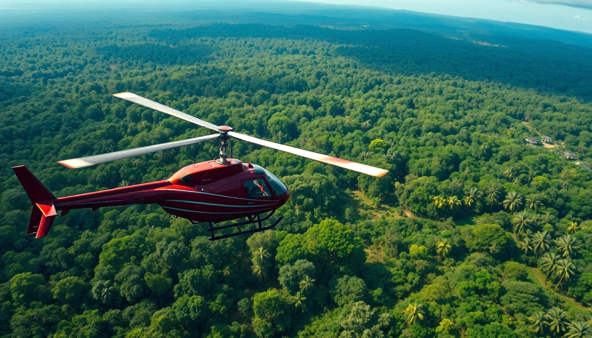 Красотой насладиться мы не успели.