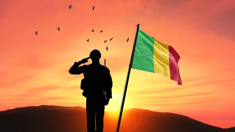    Фото: Mini Onion/Shutterstock/Fotodom