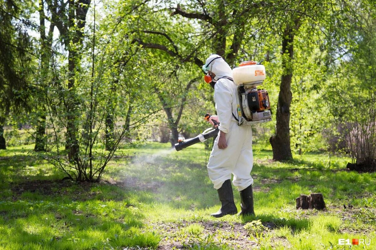 Источник фото: yandex.ru