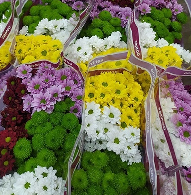 Цветы оптом. Закупка от одной пачки – бизнес или дорогое развлечение?