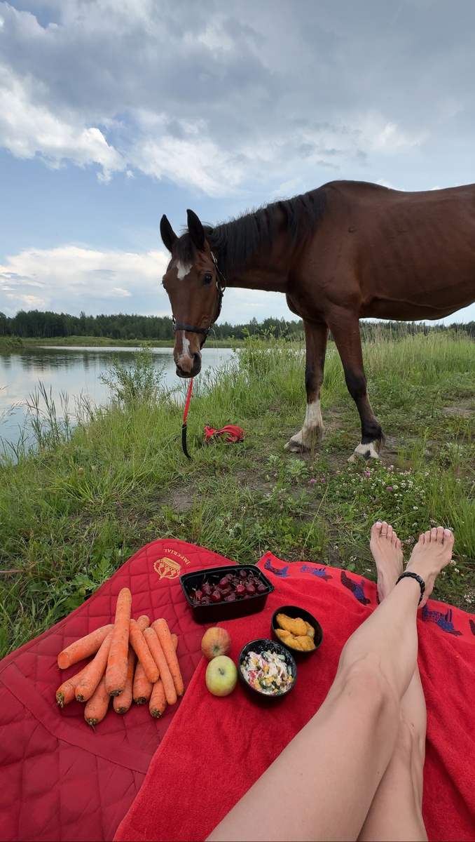 Потому что у меня пикник!