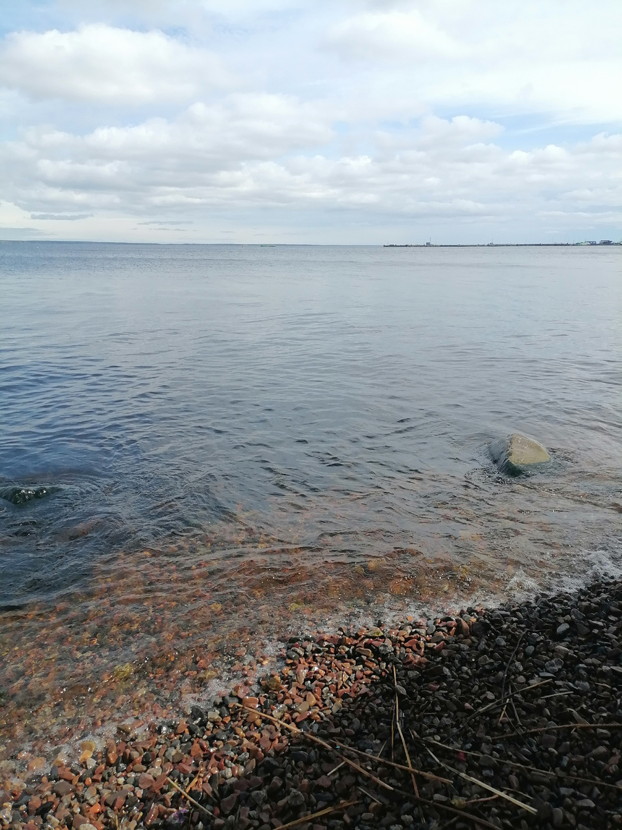 Вот оно - лето! 