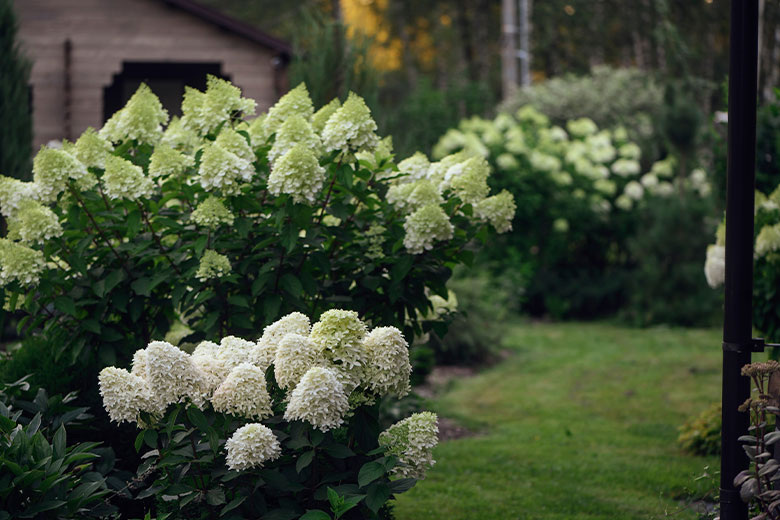    Shutterstock/FOTODOM