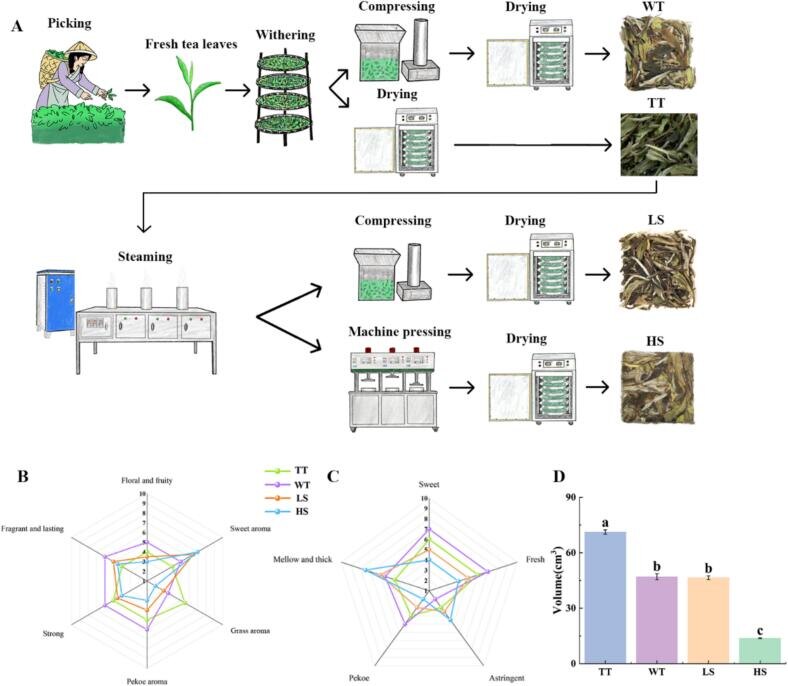 pmc.ncbi.nlm.nih.gov